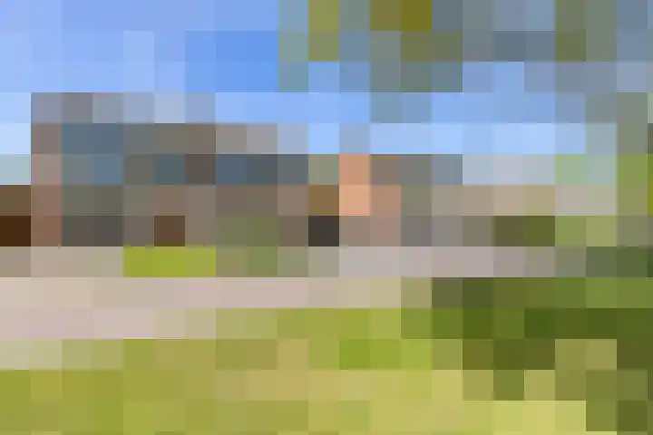 Fazantweg 15 Paterswolde thumbnail 49