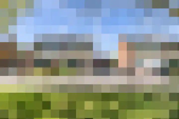Fazantweg 15 Paterswolde thumbnail 5