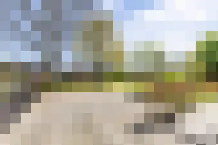 Fazantweg 15 Paterswolde thumbnail 6