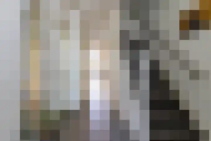 Fazantweg 15 Paterswolde thumbnail 7