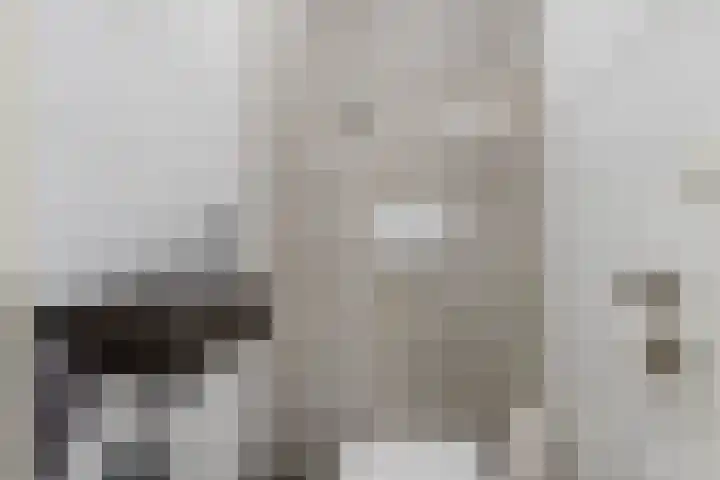 Fazantweg 15 Paterswolde thumbnail 8