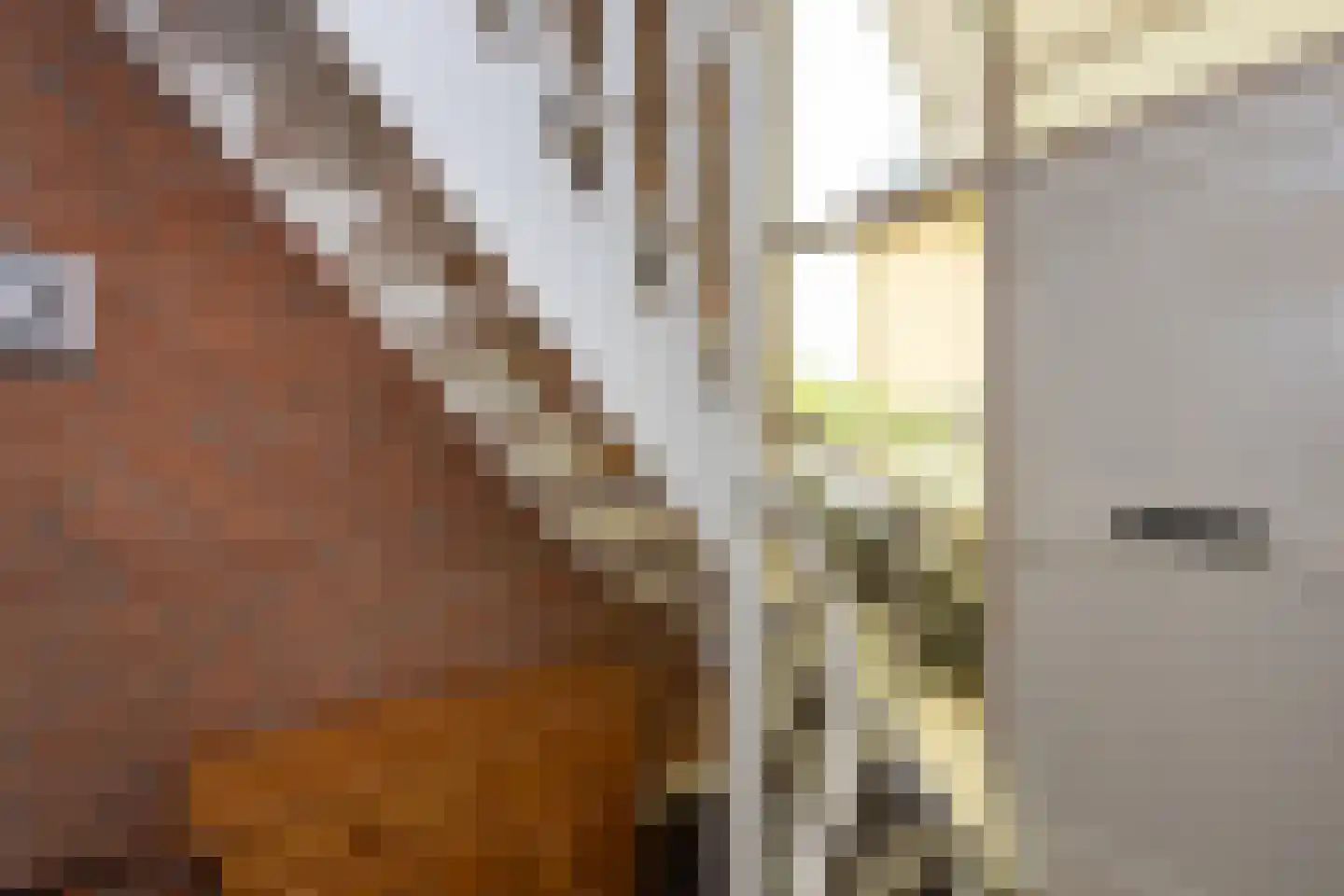 Fazantweg 2 Neede thumbnail 13