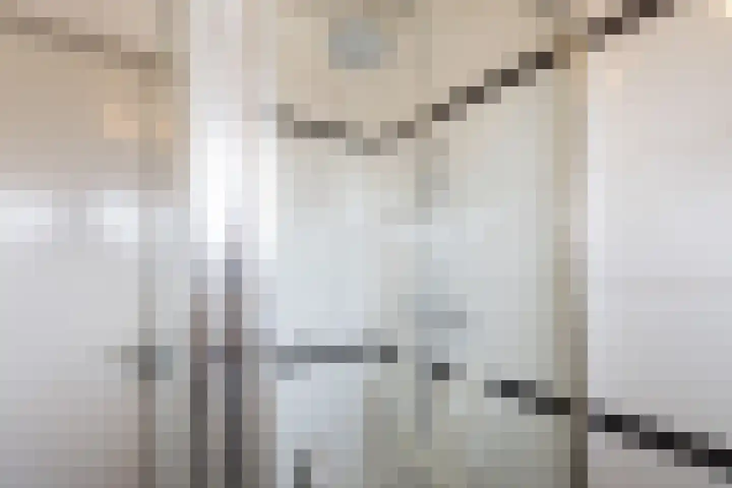 Fazantweg 2 Neede thumbnail 26