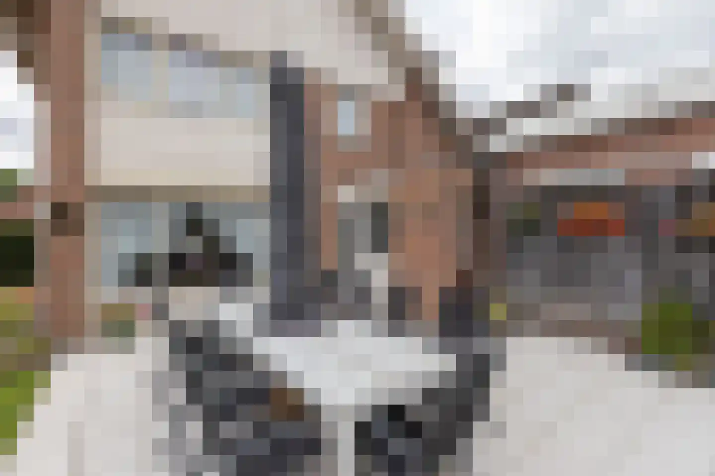 Fazantweg 2 Neede thumbnail 29