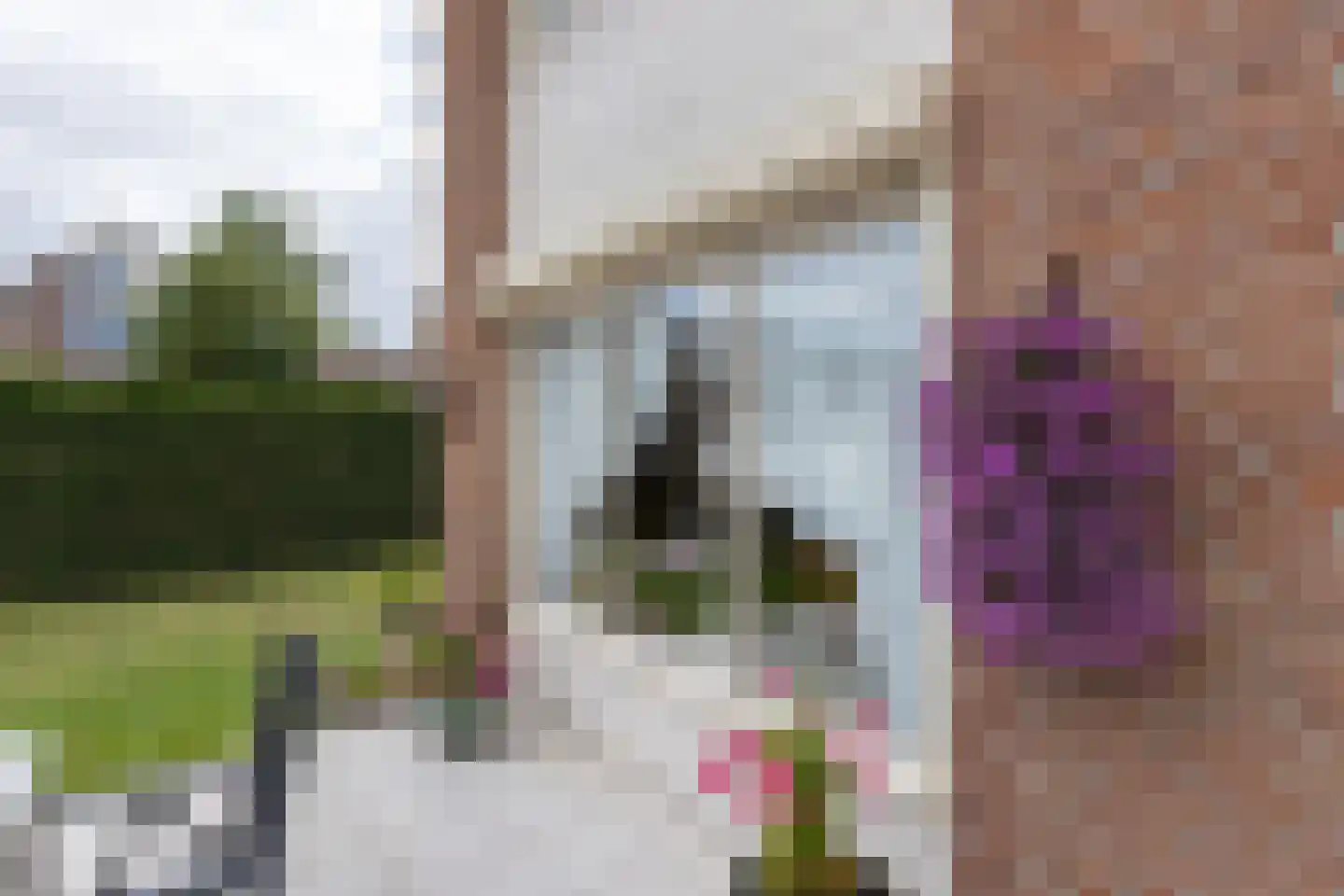 Fazantweg 2 Neede thumbnail 31