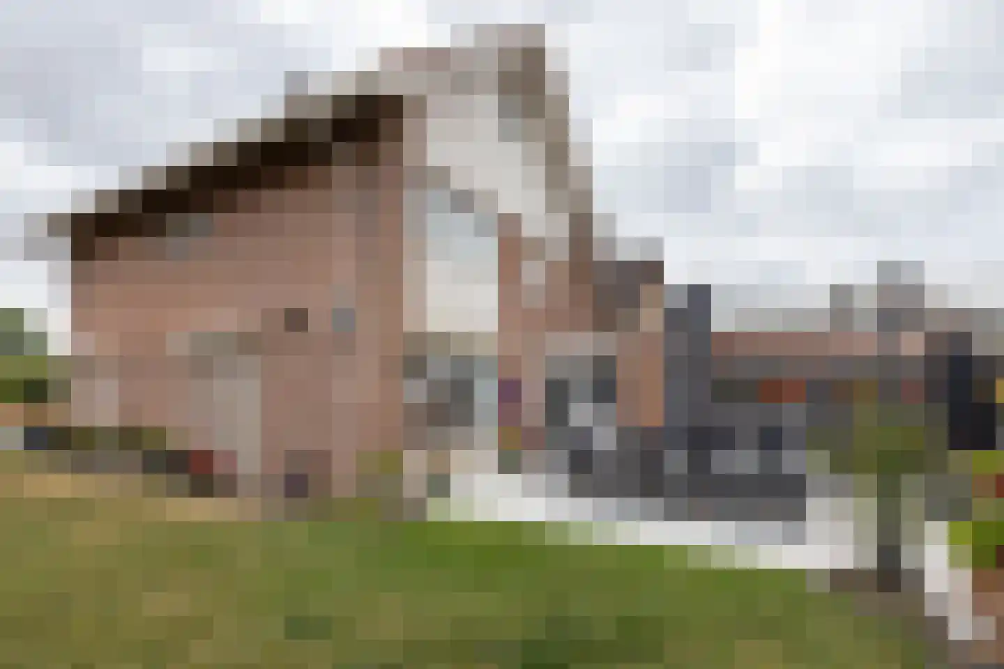 Fazantweg 2 Neede thumbnail 34