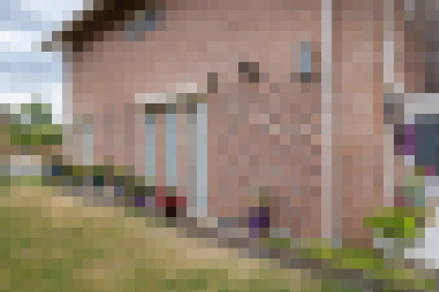 Fazantweg 2 Neede thumbnail 35