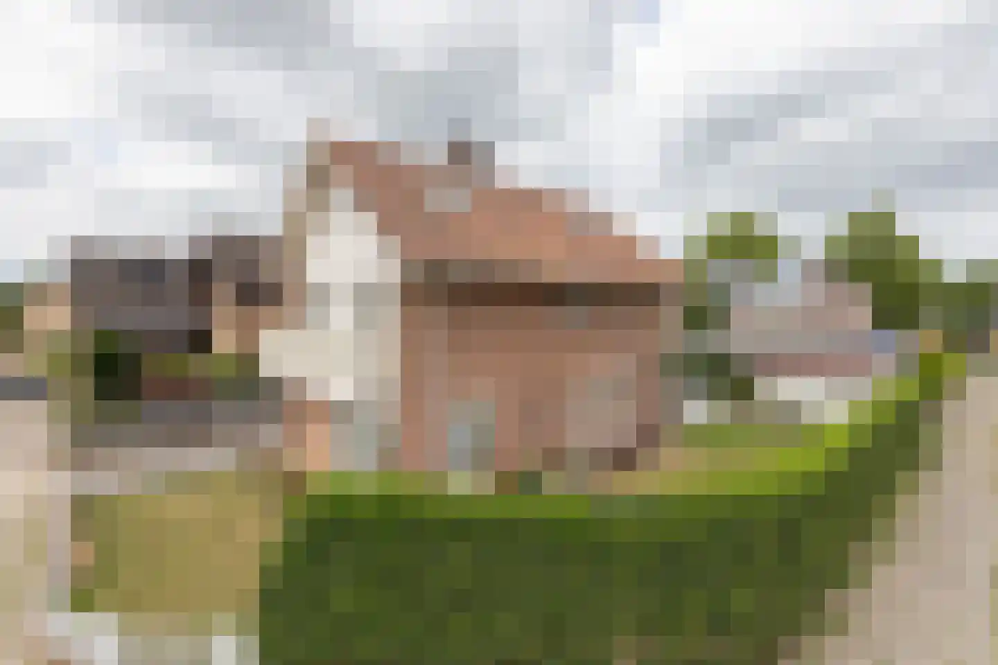 Fazantweg 2 Neede thumbnail 38
