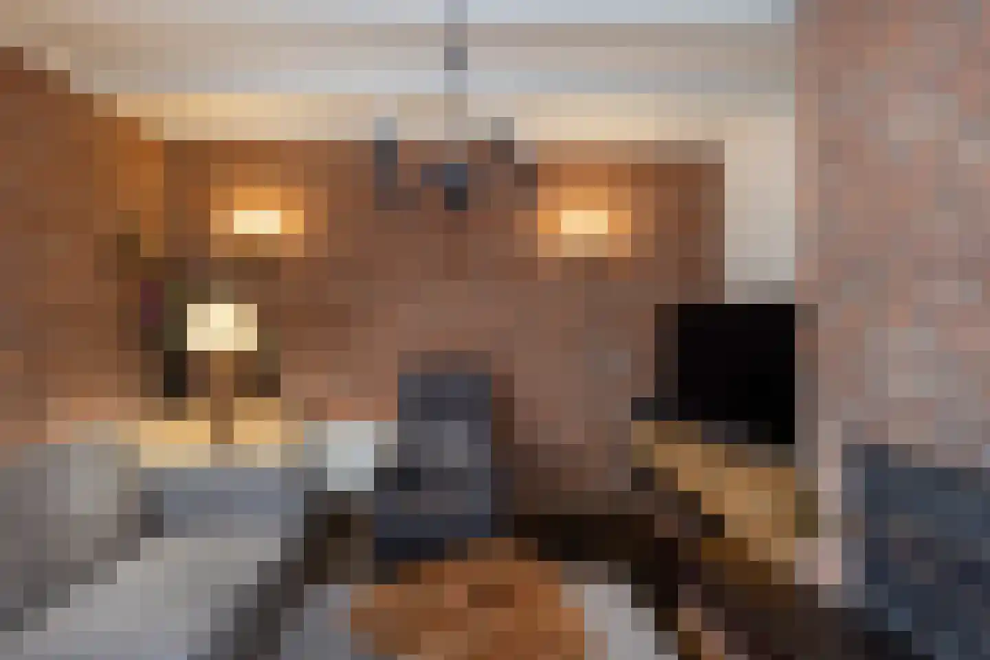 Fazantweg 2 Neede thumbnail 4