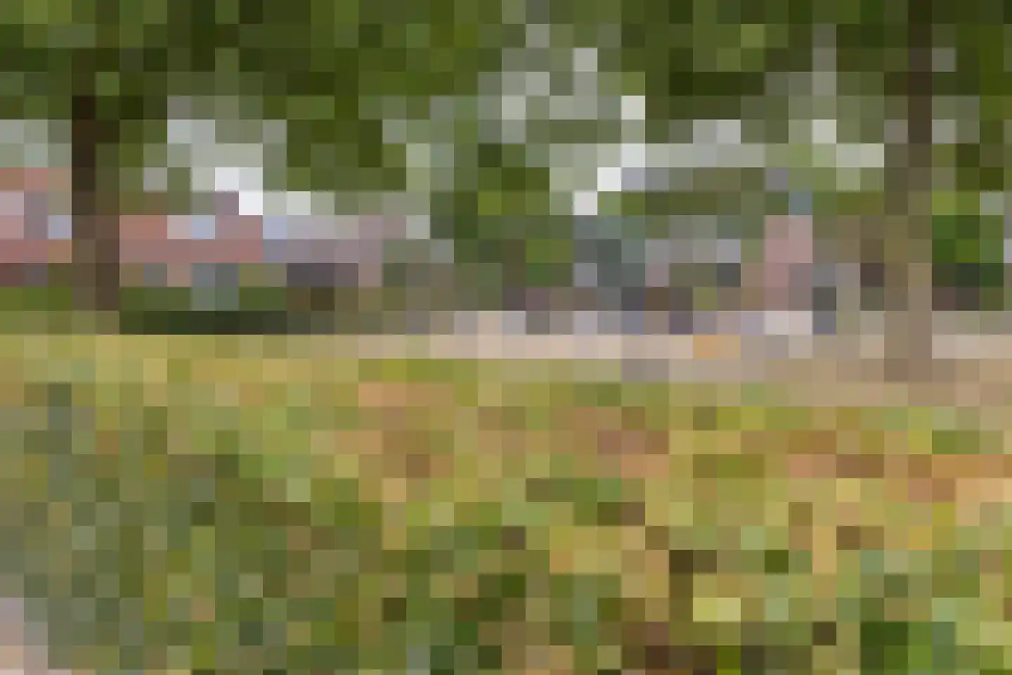 Fazantweg 2 Neede thumbnail 45