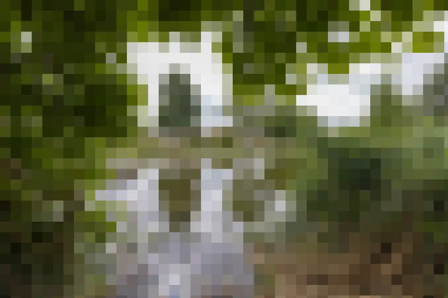 Fazantweg 2 Neede thumbnail 46
