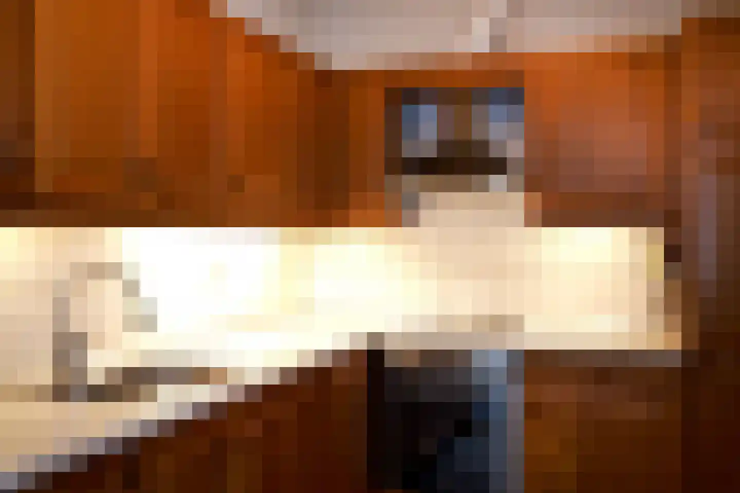 Fazantweg 2 Neede thumbnail 9