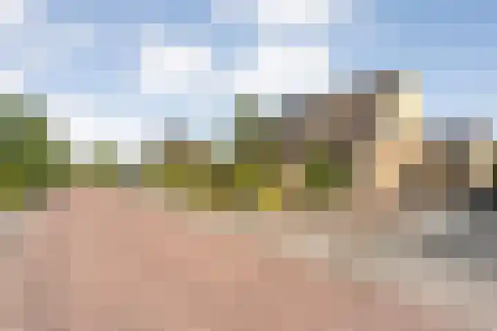 Fazantweg 25 Havelte thumbnail 10