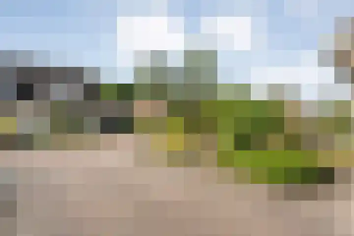 Fazantweg 25 Havelte thumbnail 11