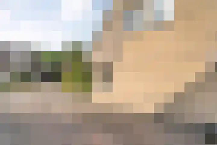 Fazantweg 25 Havelte thumbnail 12