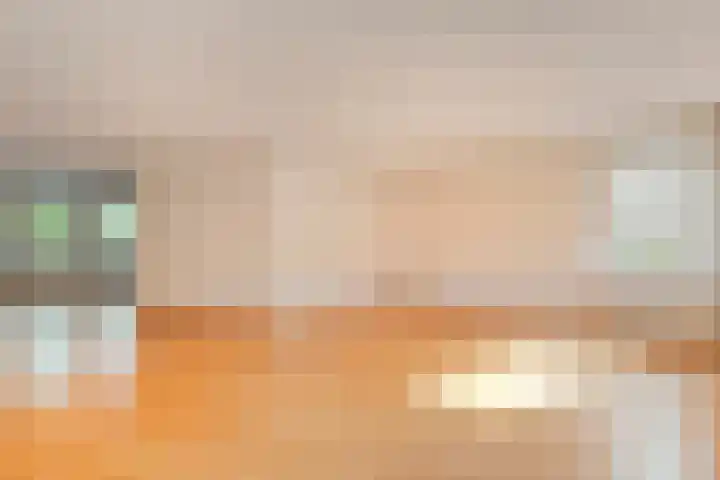 Fazantweg 25 Havelte thumbnail 16