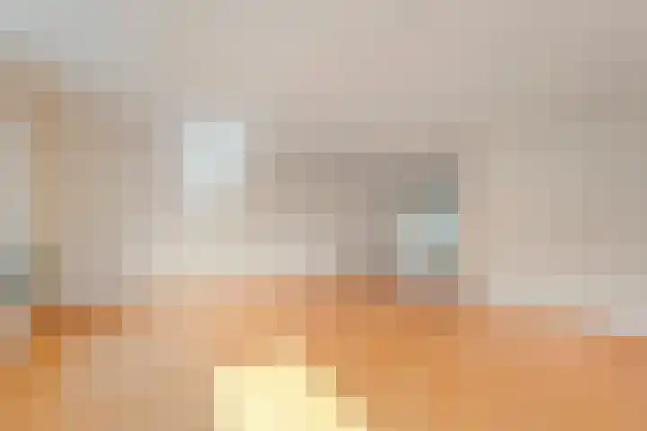 Fazantweg 25 Havelte thumbnail 17