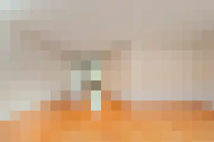 Fazantweg 25 Havelte thumbnail 19
