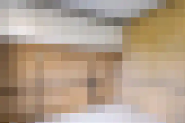 Fazantweg 25 Havelte thumbnail 23