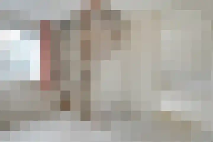 Fazantweg 25 Havelte thumbnail 25