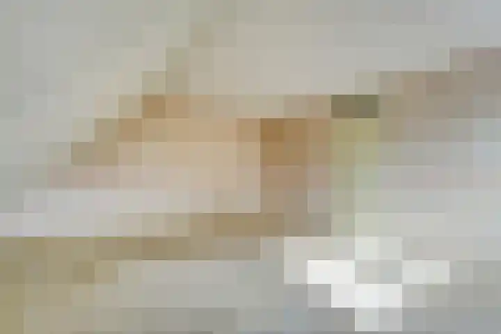 Fazantweg 25 Havelte thumbnail 28