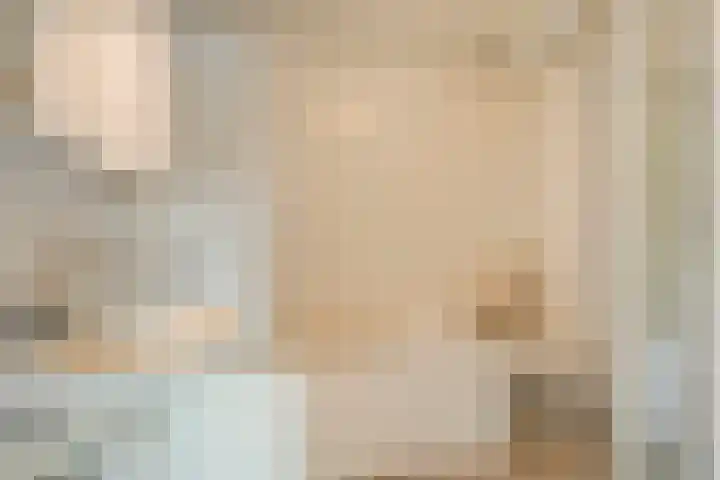 Fazantweg 25 Havelte thumbnail 29