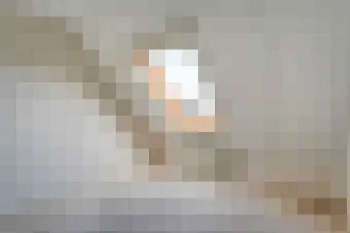 Fazantweg 25 Havelte thumbnail 33