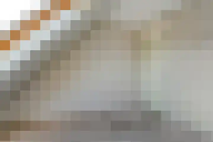 Fazantweg 25 Havelte thumbnail 34