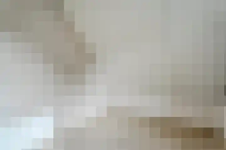 Fazantweg 25 Havelte thumbnail 35