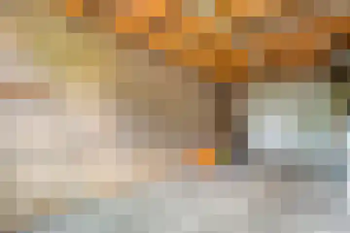 Fazantweg 25 Havelte thumbnail 39