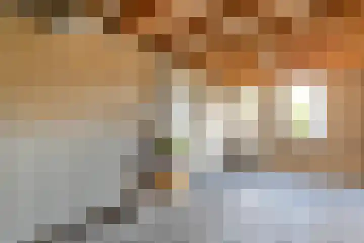 Fazantweg 25 Havelte thumbnail 40