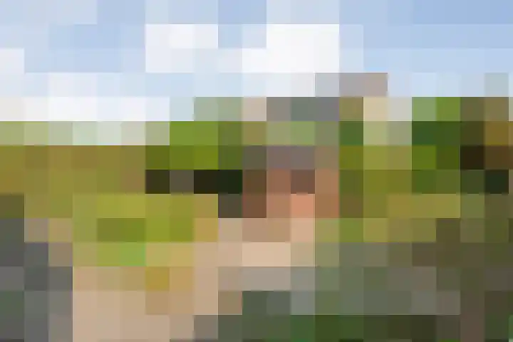 Fazantweg 25 Havelte thumbnail 41