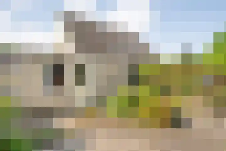 Fazantweg 25 Havelte thumbnail 42