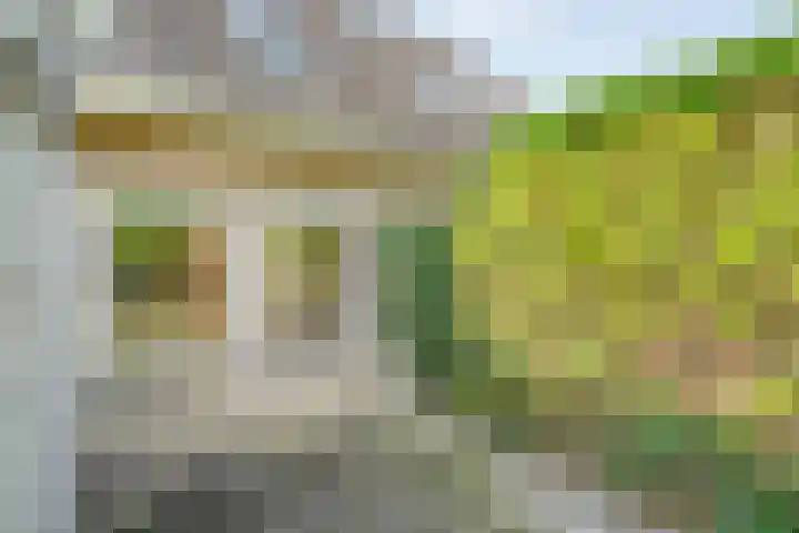 Fazantweg 25 Havelte thumbnail 43