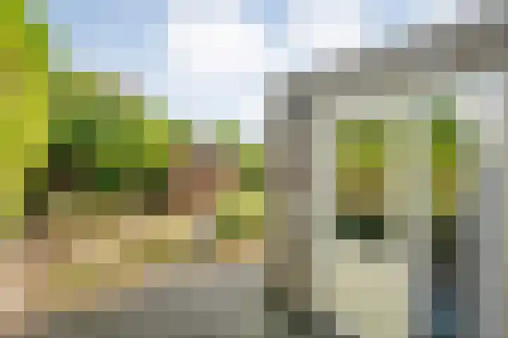 Fazantweg 25 Havelte thumbnail 44