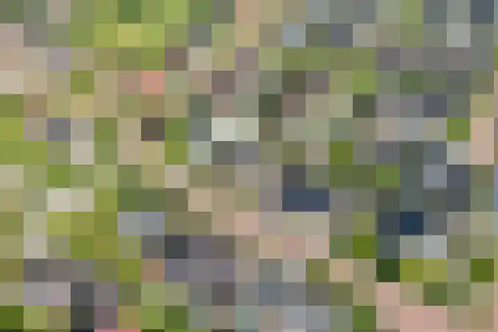 Fazantweg 25 Havelte thumbnail 45