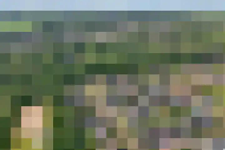 Fazantweg 25 Havelte thumbnail 46