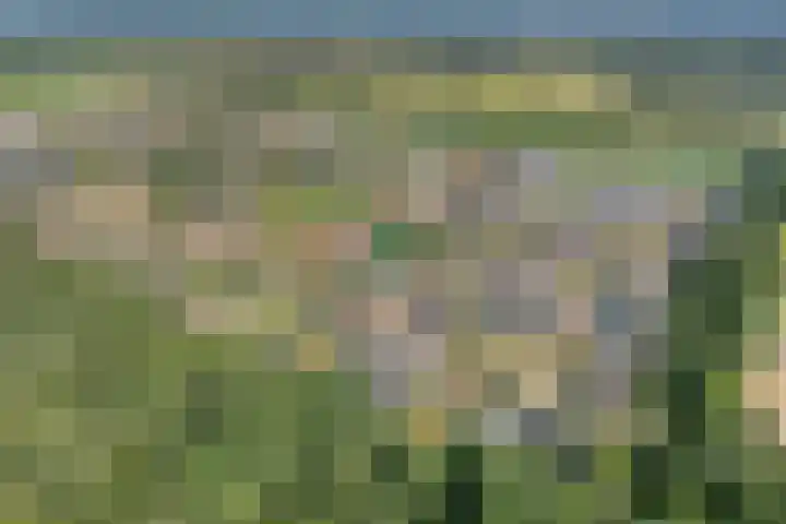 Fazantweg 25 Havelte thumbnail 5
