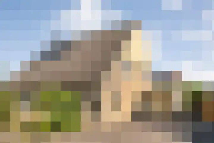 Fazantweg 25 Havelte thumbnail 6