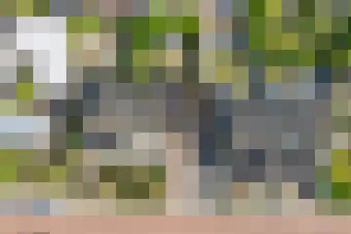 Fazantweg 25 Havelte thumbnail 8