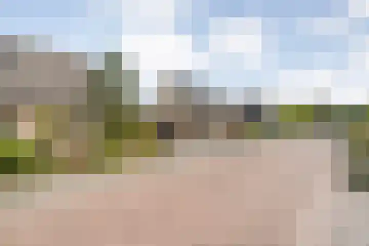 Fazantweg 25 Havelte thumbnail 9