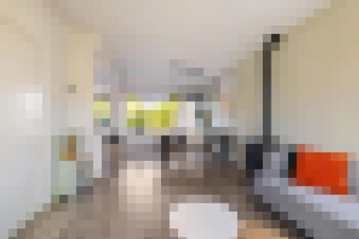 Fazantweg 3 Paterswolde thumbnail 11