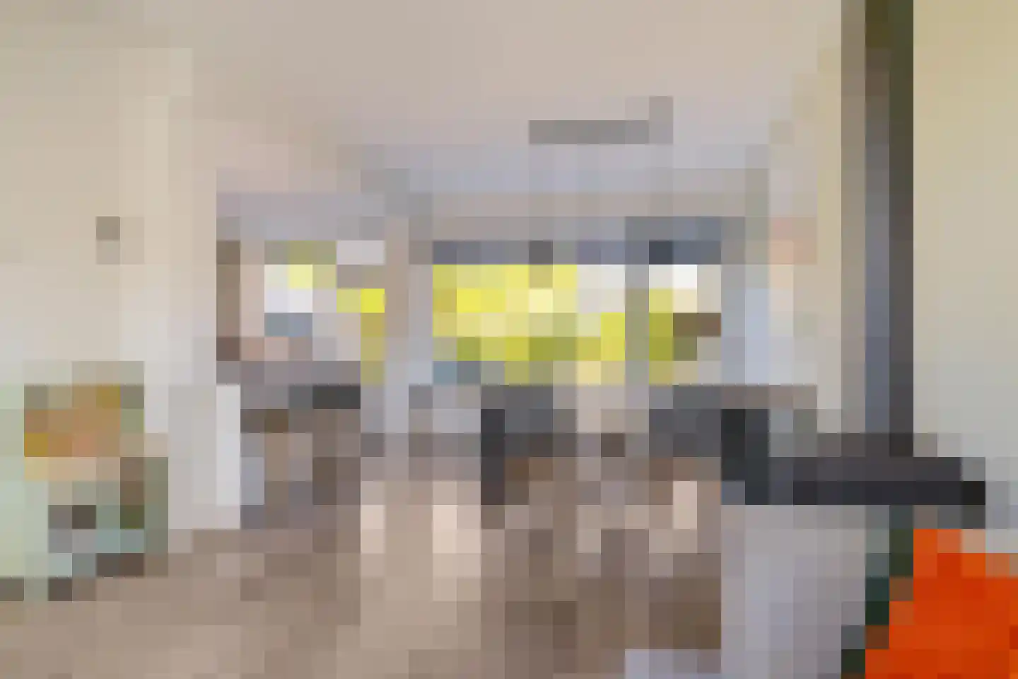 Fazantweg 3 Paterswolde thumbnail 12
