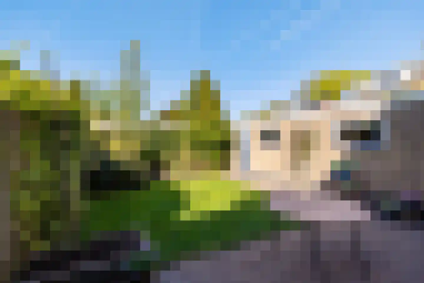 Fazantweg 3 Paterswolde thumbnail 18