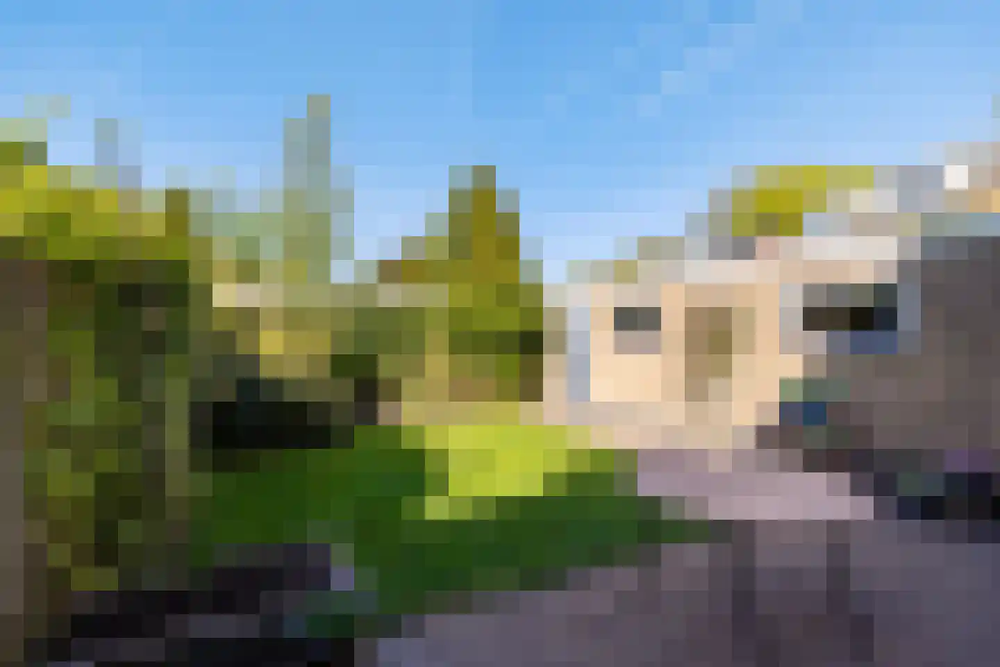 Fazantweg 3 Paterswolde thumbnail 36
