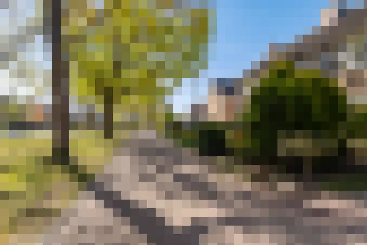 Fazantweg 3 Paterswolde thumbnail 38