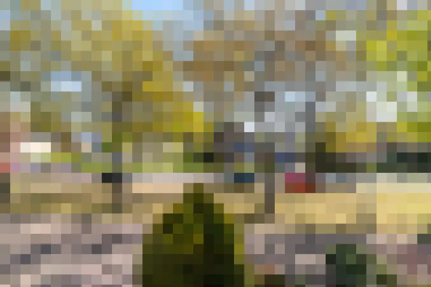 Fazantweg 3 Paterswolde thumbnail 4
