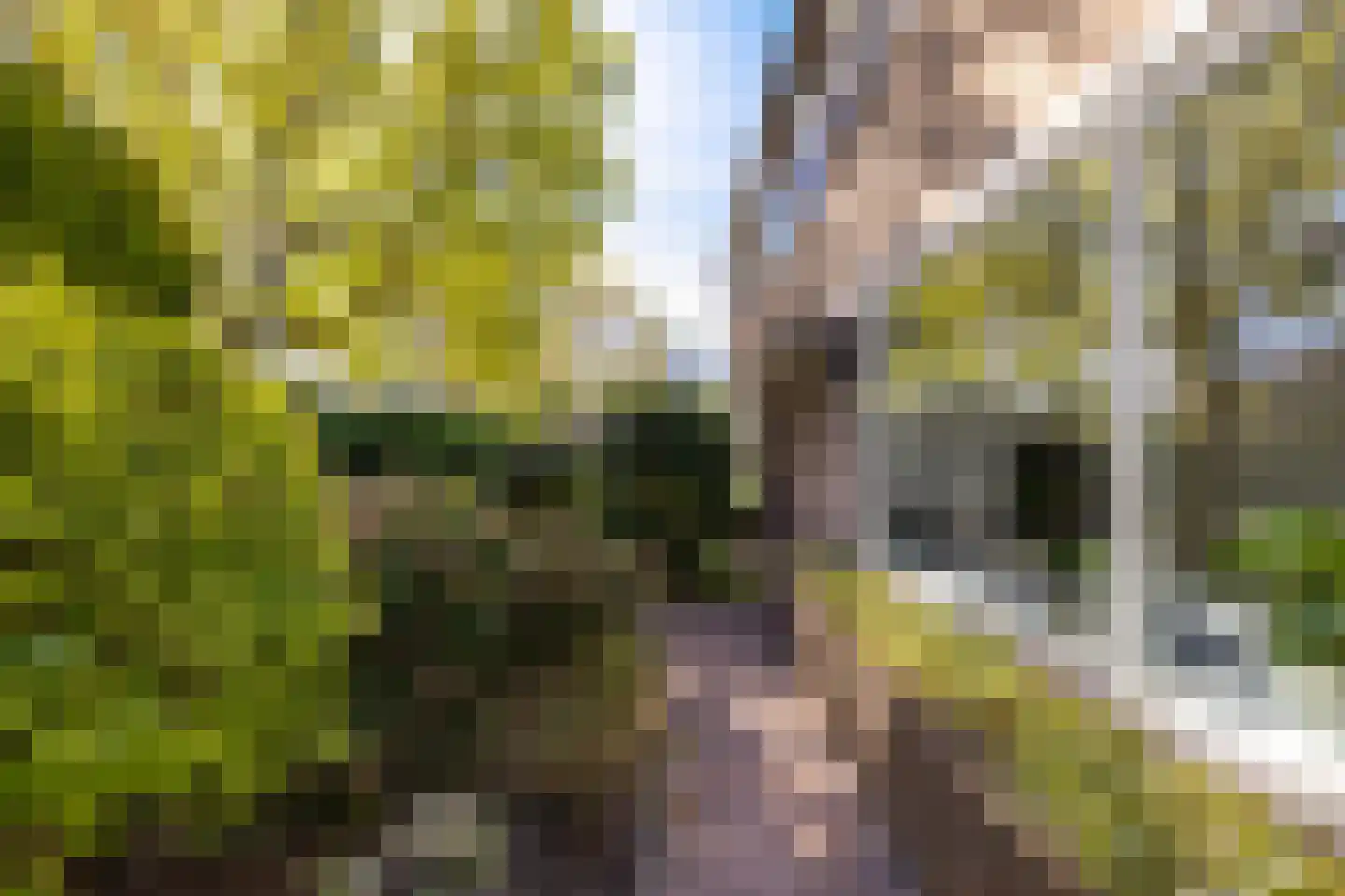 Fazantweg 3 Paterswolde thumbnail 7