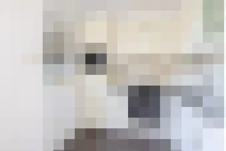 Fazantweg 5 Havelte thumbnail 13