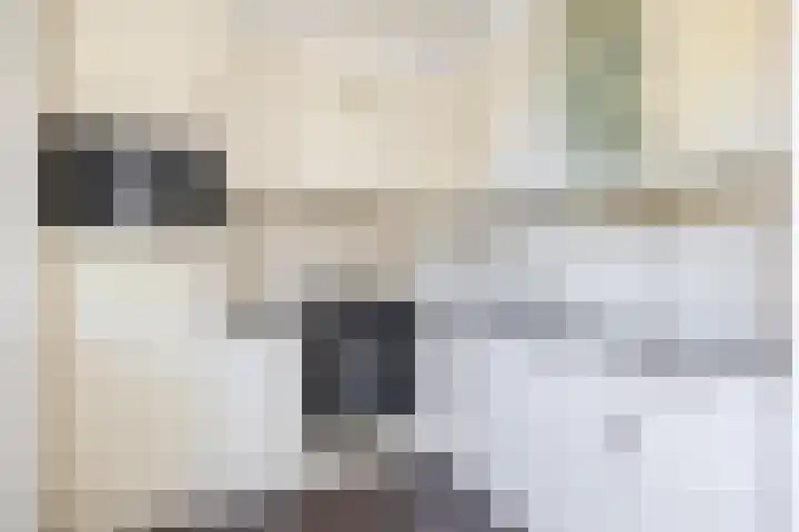 Fazantweg 5 Havelte thumbnail 15